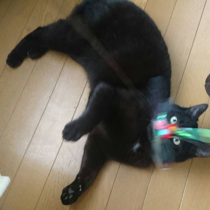 Ea513355 479e 41b7 8367 34079c2a18ae