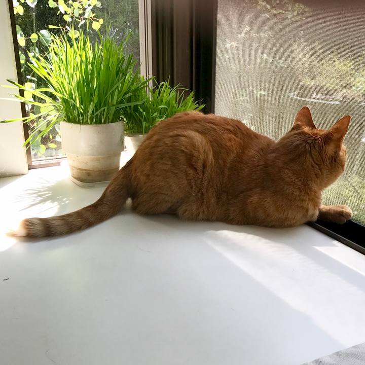 Ea51ce14 d3b1 486e 81b7 1a9651a24791