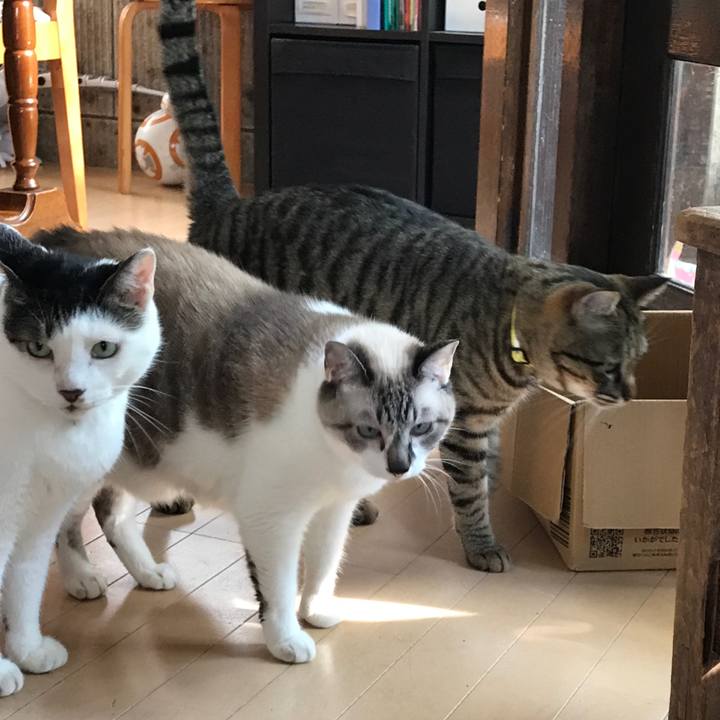 Ea51e68d f62a 426e 9a8b 938987751fcc