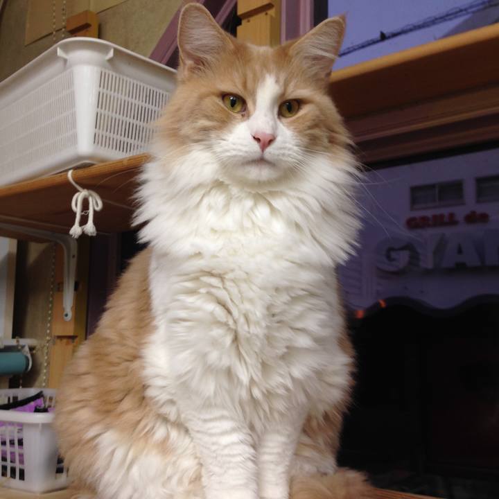 Ea5229fa 7590 43ab 966a 181314eb7670