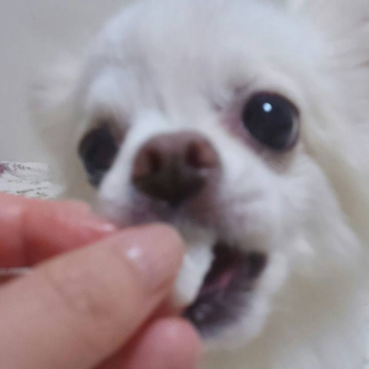 Ea529f4e e344 4ca1 8a39 1d3812041158