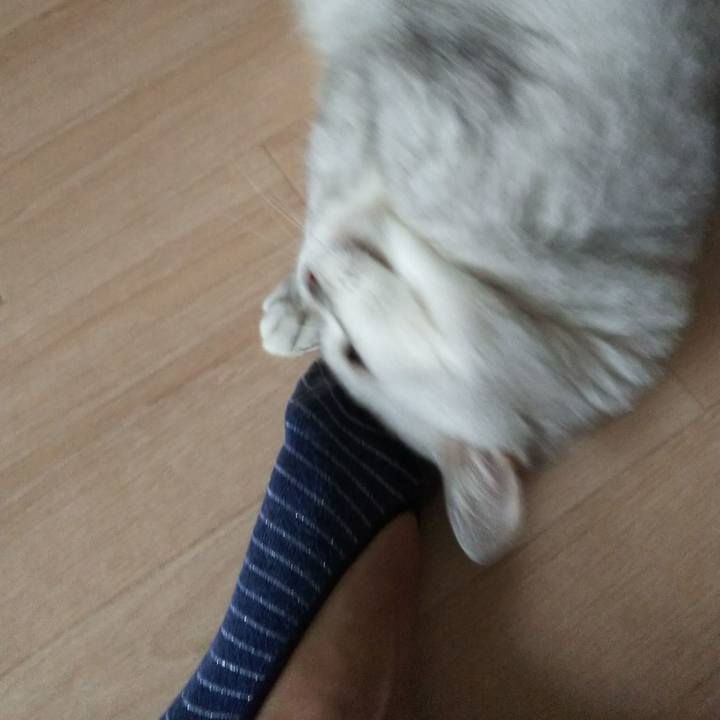 Ea52d1fd 7262 4fed ad62 a8a1a3fb9fb6