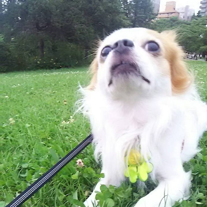 Ea536efe bb76 40ab bca2 6c92d871e2a8