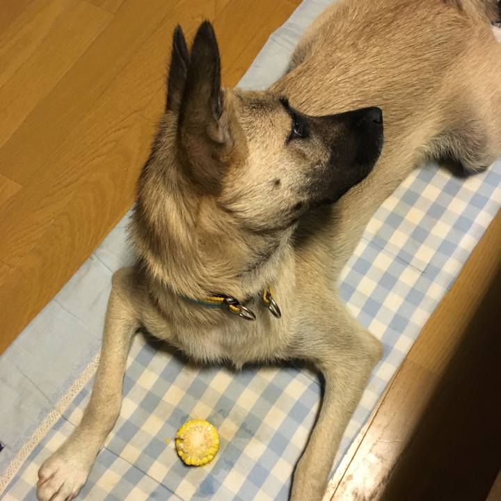 Ea53c7a5 14df 4c7f b893 8984fa9286aa