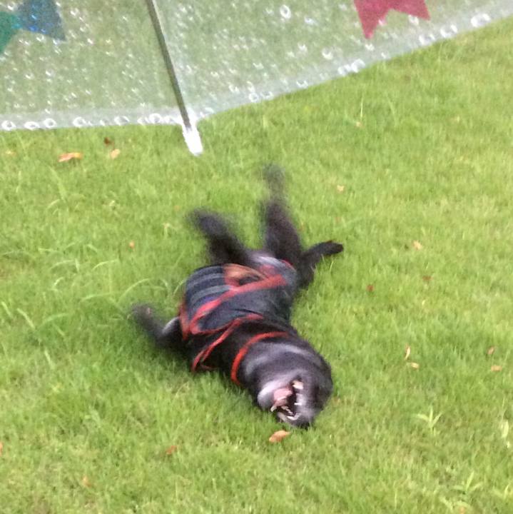 Ea542364 d78f 4d8c a2b6 bf3895492f69