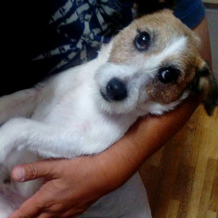 Ea54ce60 a016 444e bf80 92280863289f