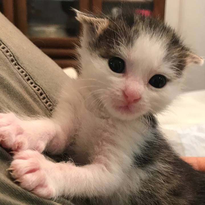 Ea54d052 b135 4c0b bf2a 1b5d07c48a54