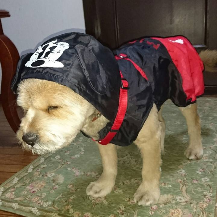 Ea55058c 23b9 43a1 84c5 cbc6b9e4d338