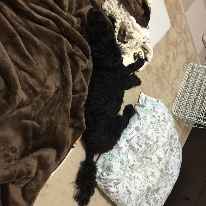 Ea55139a 9b76 4a6a 9969 c2cd50041dcb