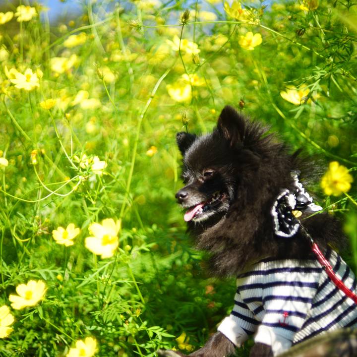 Ea55cf21 ce97 4f9c 88b6 8a2acdcbfd3b