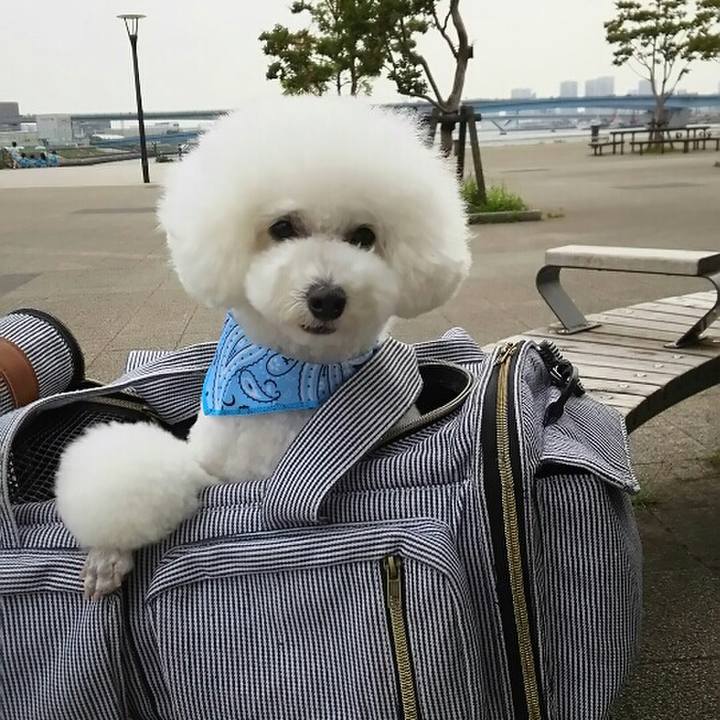 Ea56876b 8f77 49ac b445 3d36c947b12f