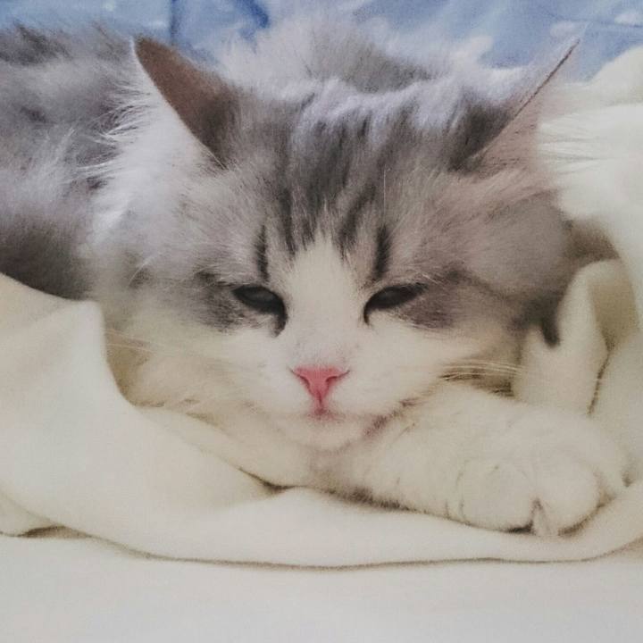 Ea56a05a 2446 48bd a320 9be35388024c