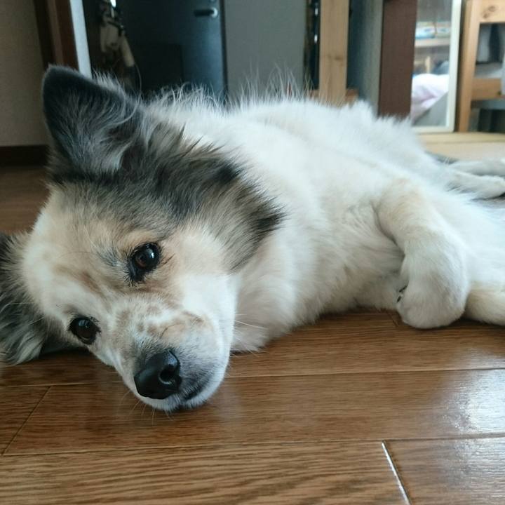 Ea56dffd 07b2 4610 a389 072e9616daaf