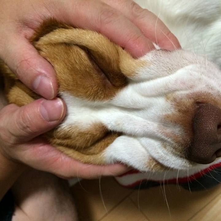 Ea57205c 2b39 4b25 bad9 00705bf73d5a