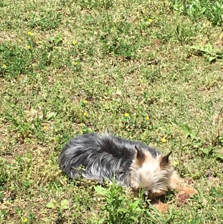 Ea5722e6 7a70 4c95 a765 00b4c430799f