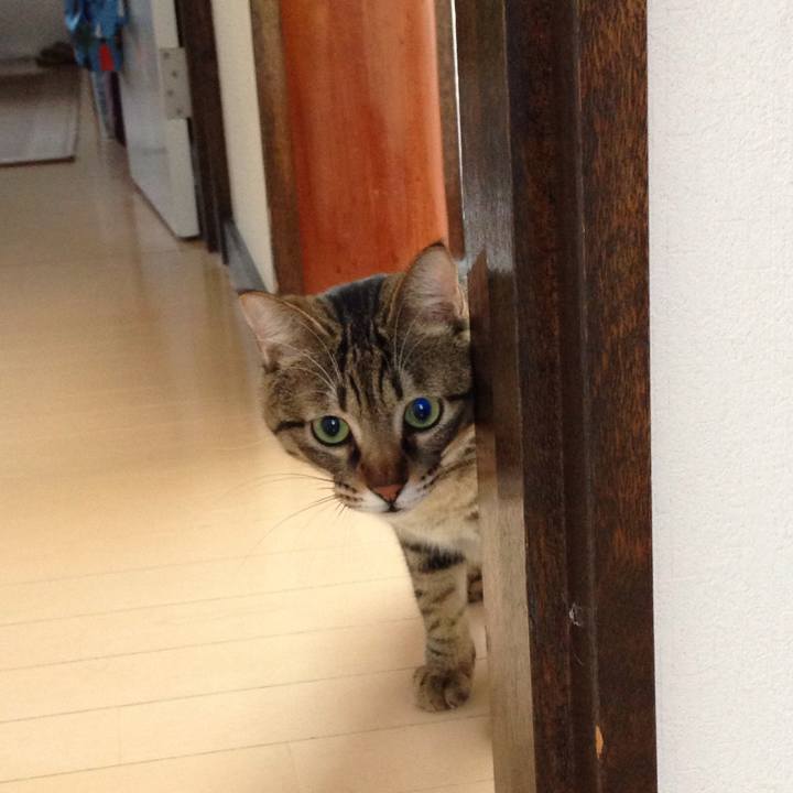 Ea57c5a2 2b6f 41c3 b4bf 624f7d5a4086