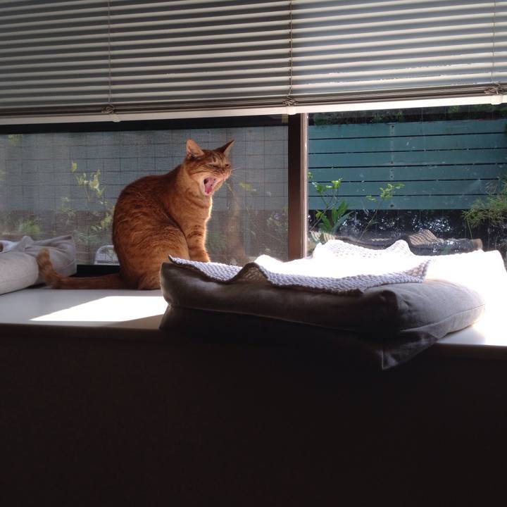 Ea57e33d a24e 4b87 9a80 4f3473f2ac32