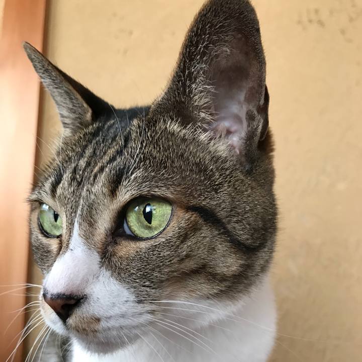 Ea582d42 5224 43da 9704 b7d1e4e13247