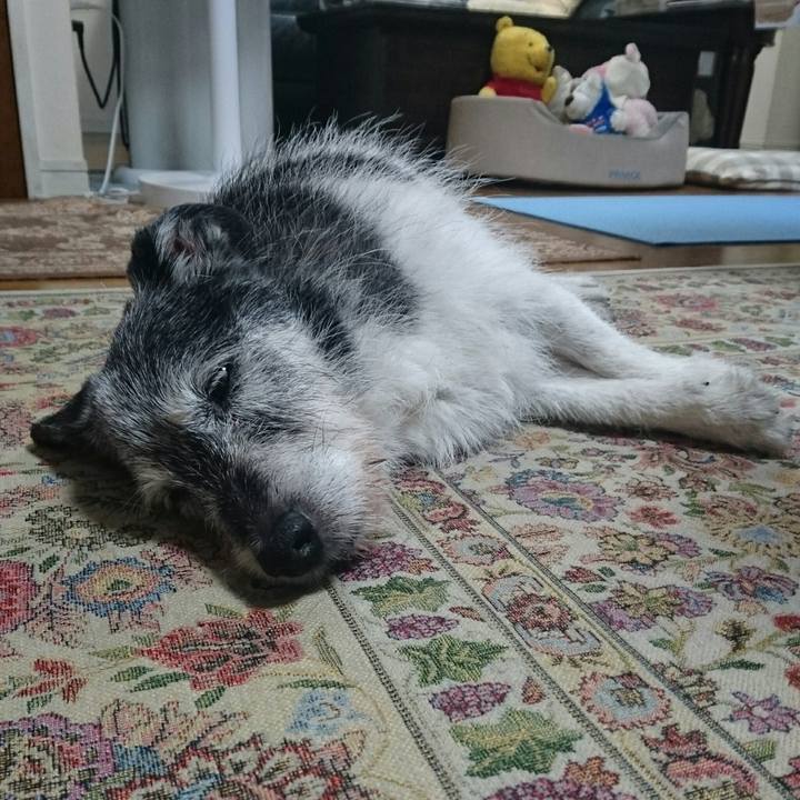 Ea5a39bf e932 458e 808a d64b80dcf7c5