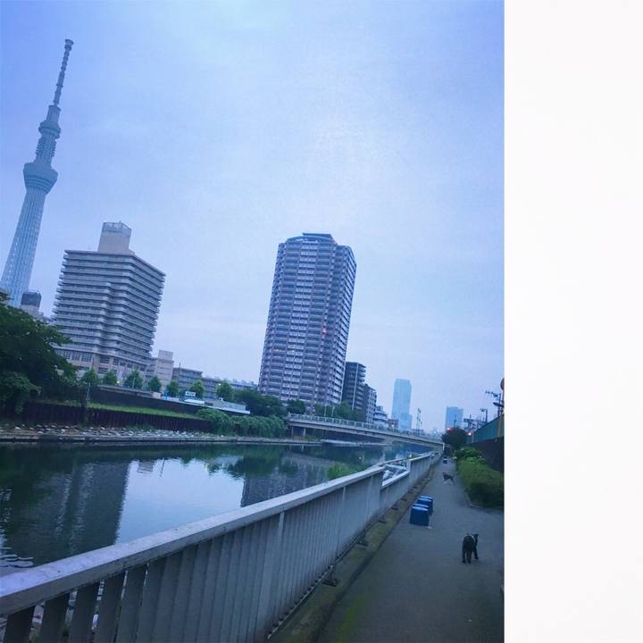 Ea5ad8c1 d1f7 4964 9df2 b85762cc6591