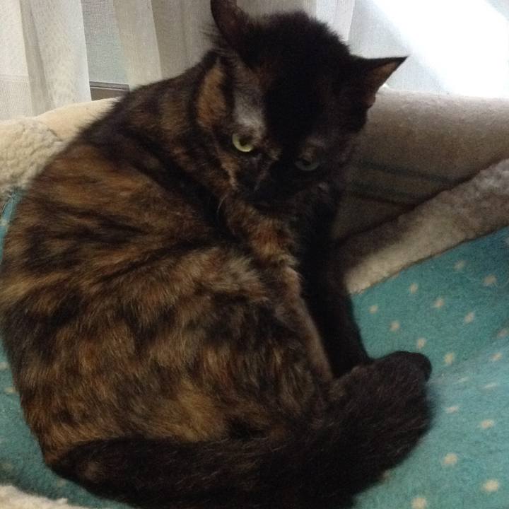 Ea5b00a5 1302 4f60 b75f 393ee0b1d8a7