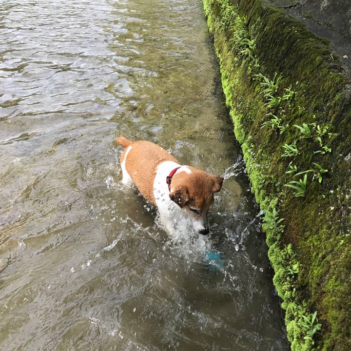 Ea5b8c95 fbdc 4f00 9ead ef042d985b66