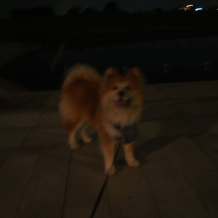 Ea5c3e91 697d 42e7 b1b5 9fefad175b08