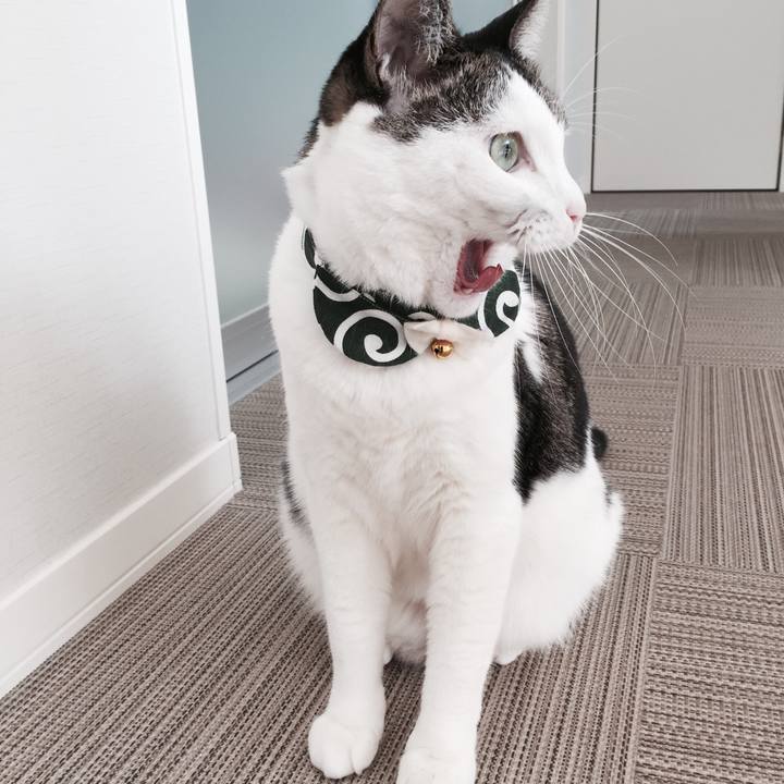 Ea5c7b97 80cf 4b40 b1f9 849255870cf9