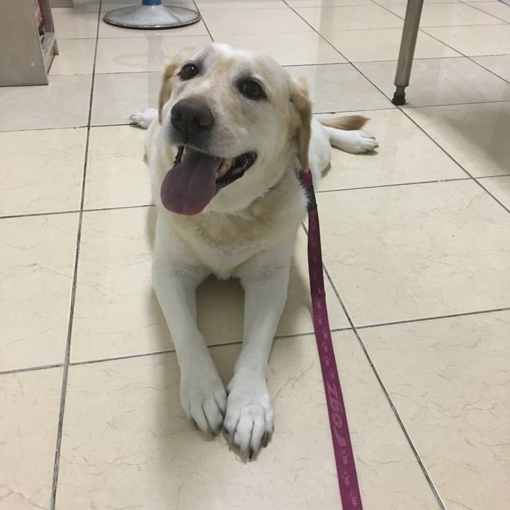 Ea5cff5d 5b86 4fc1 978e 1cf0d86c498c