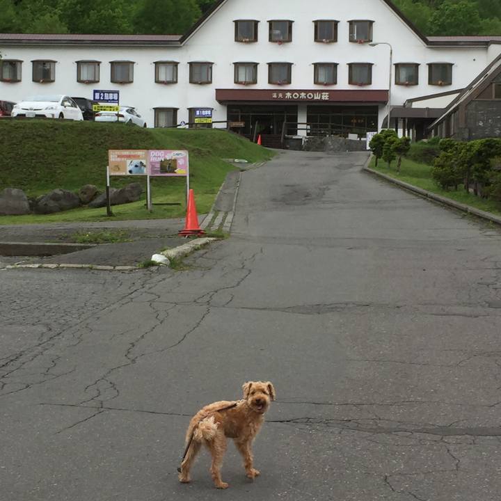 Ea5d2170 7009 4cbe a00d c854a34b4cc3