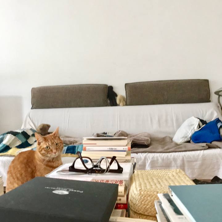 Ea5d4b87 1c4b 45a3 8d47 ca672b9b0740