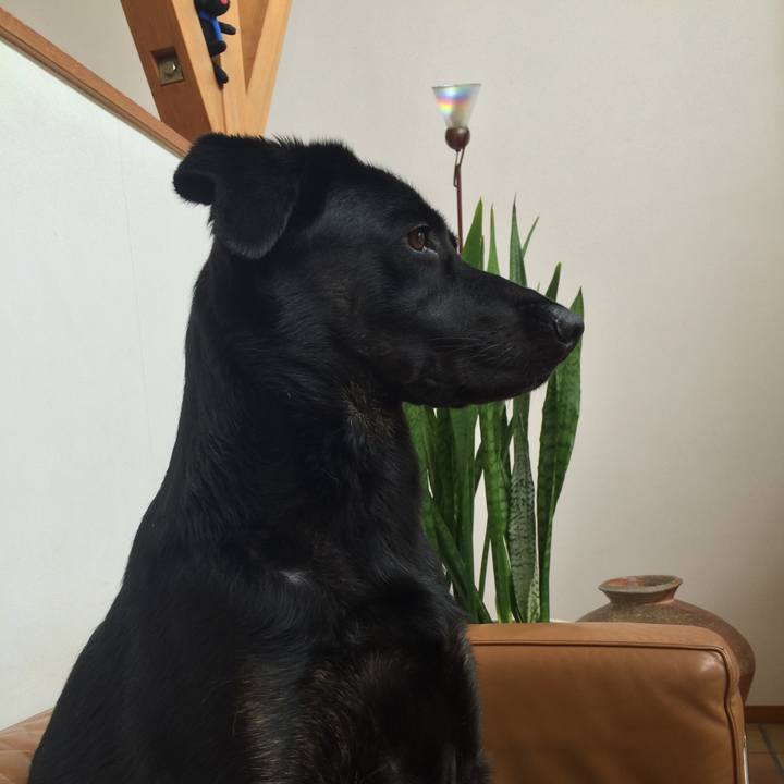 Ea5dbb90 6d74 462b 86e9 44cd7a1e2be9