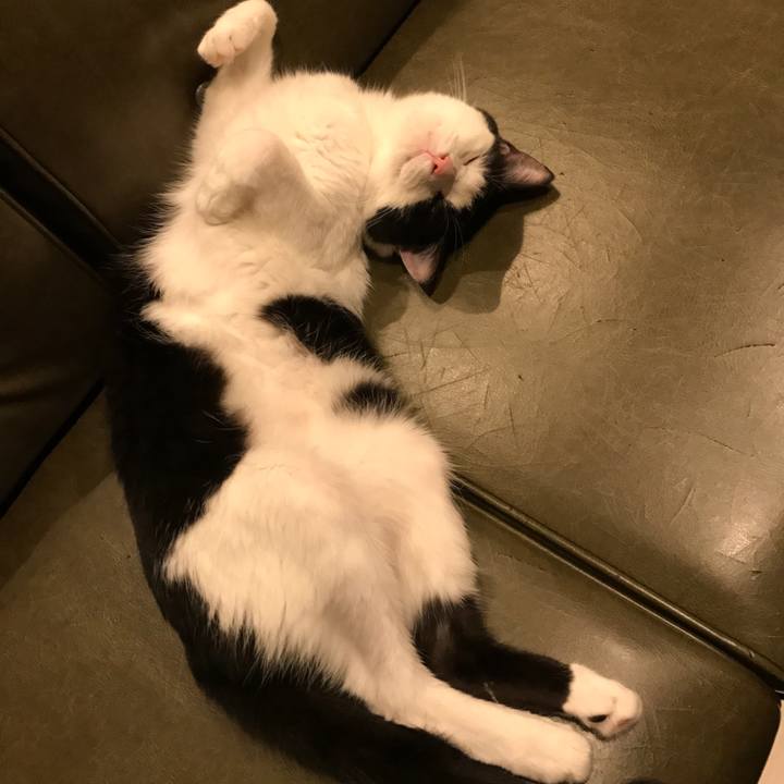 Ea5e14a3 d245 4258 8383 59f7412a83ae