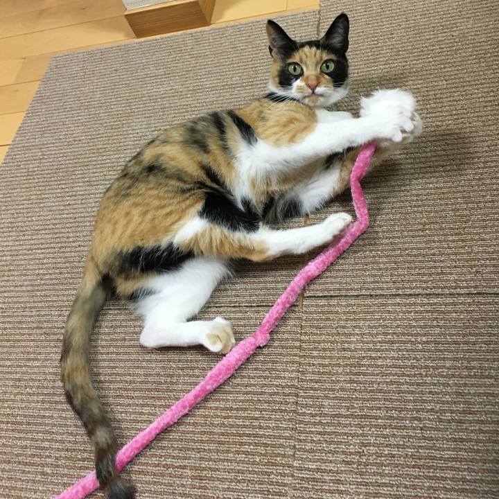 Ea5e443b aa3c 45d8 a72e 0a92fa3eb758