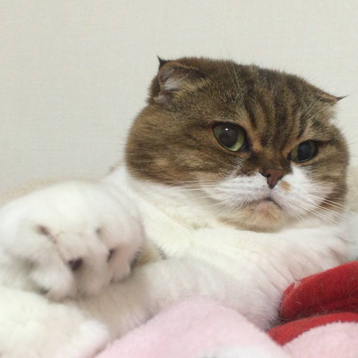 Ea5ea61d 83f3 4959 8614 9aef11e2a0ef