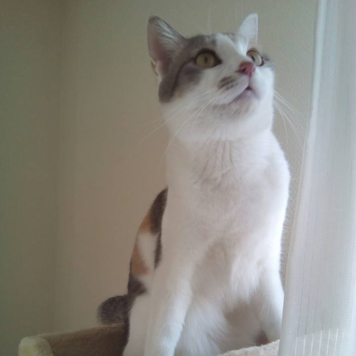 Ea5ef0a2 d1d9 4f1b a2e5 f1871ed42603