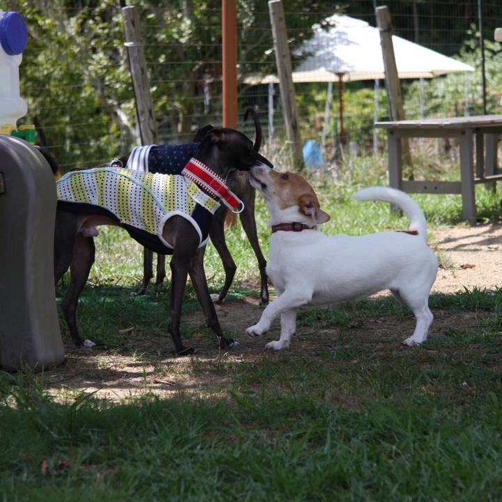 Ea5f15a1 257b 4ebc 81dd 599793ddd524