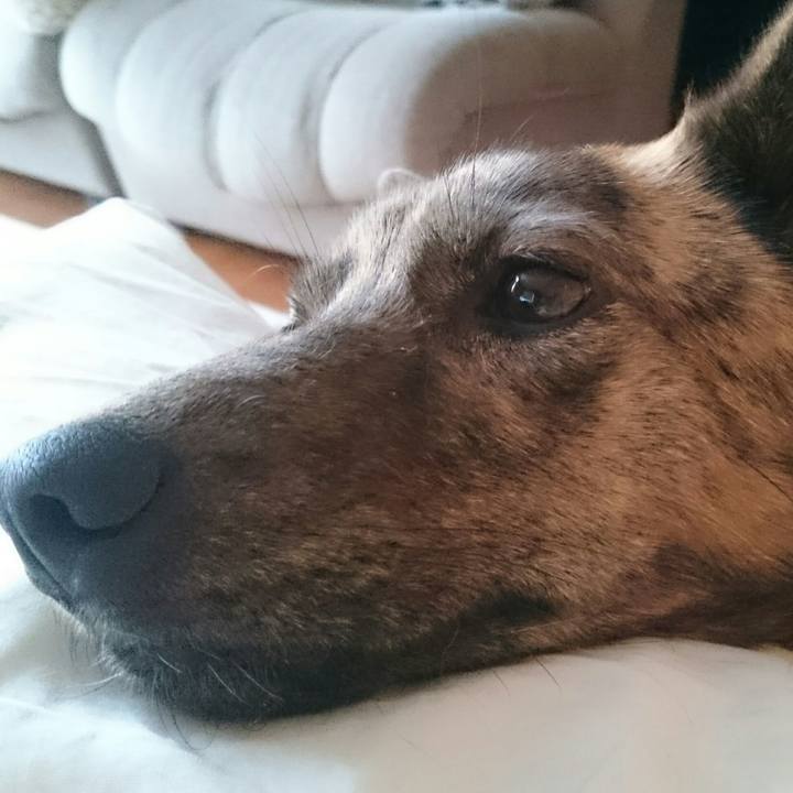 Ea5f2773 e0bc 4943 8987 26e38546290d