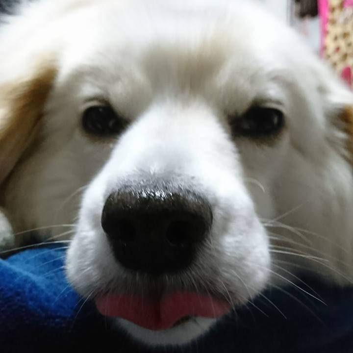 Ea5f9caf de58 4317 9cd7 fb4c3b4fcf7d