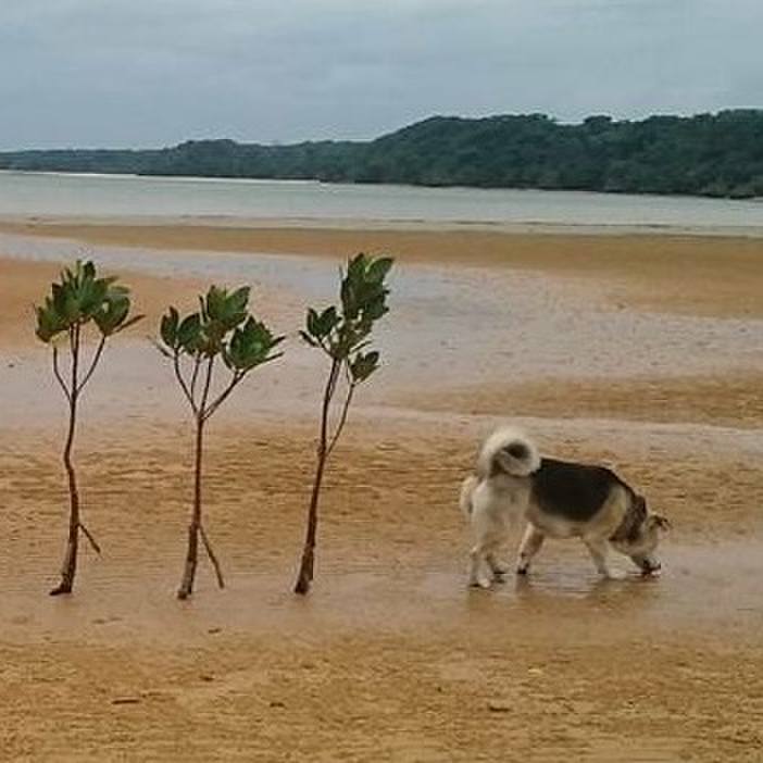 Ea601677 684e 48cd a38a 53bd74d89830