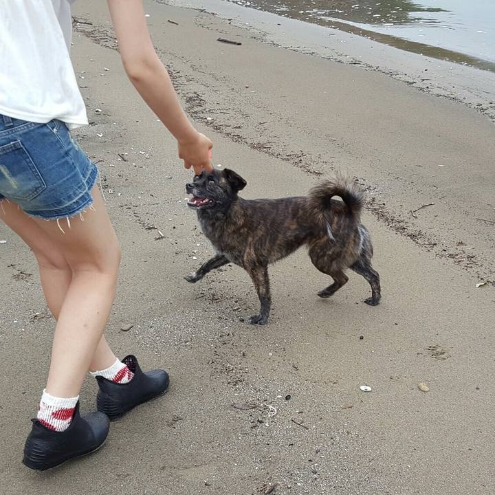 Ea60a7c9 0931 4633 9fa4 e0a9da3987d3