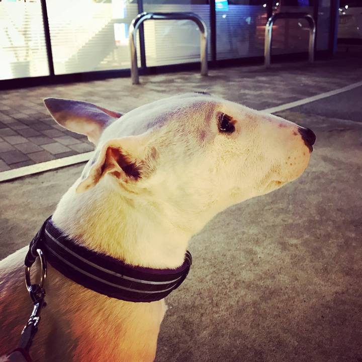 Ea60e741 688d 4832 abab 529696717802