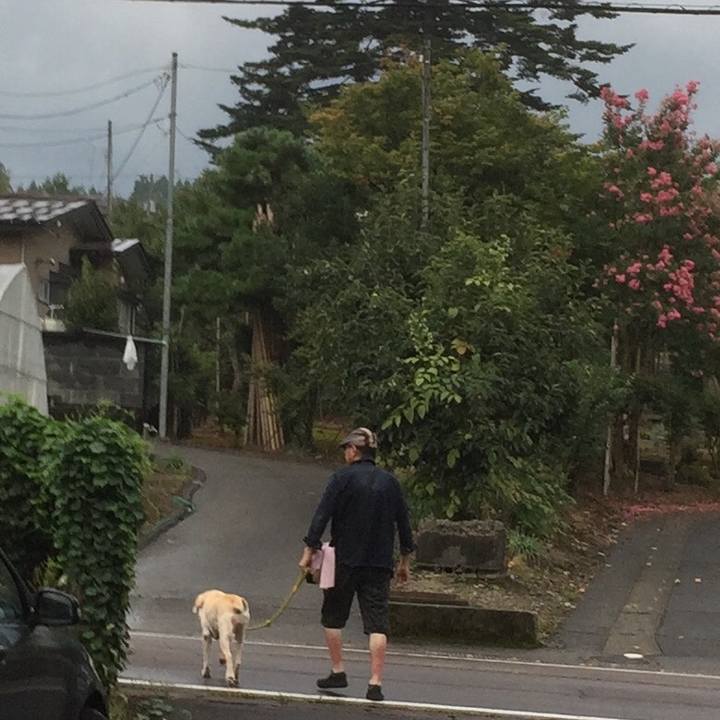 Ea61488e eaa5 44f9 a3d3 6a0bd763e00a