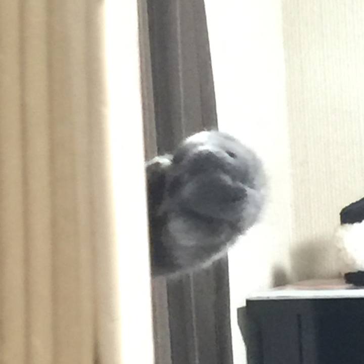 Ea6355cd 2d43 4838 a01f 9866e68ffd1c