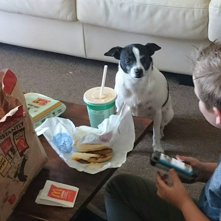 Ea63775a da32 4578 b812 ac36d4823a45