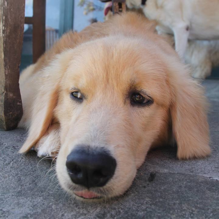 Ea6393a8 3673 4759 8ca5 d7ba2df018aa