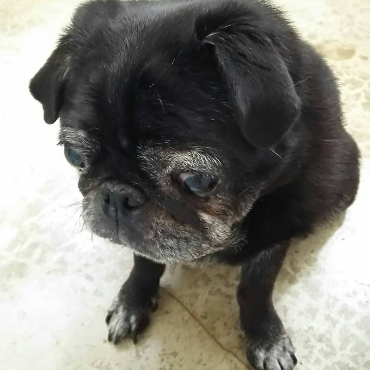 Ea63ff46 2a4d 4606 9389 a3e06ecc56b3