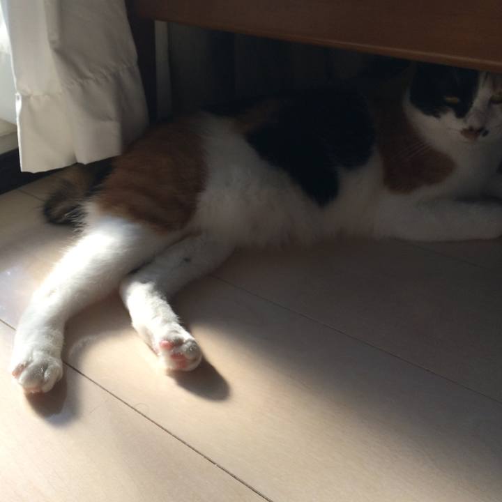 Ea640cd0 804d 4e1b 914b 8bcf6f389c8d