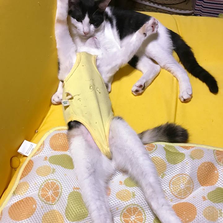 Ea6475c8 a1e4 4416 a1eb db1f696533b3