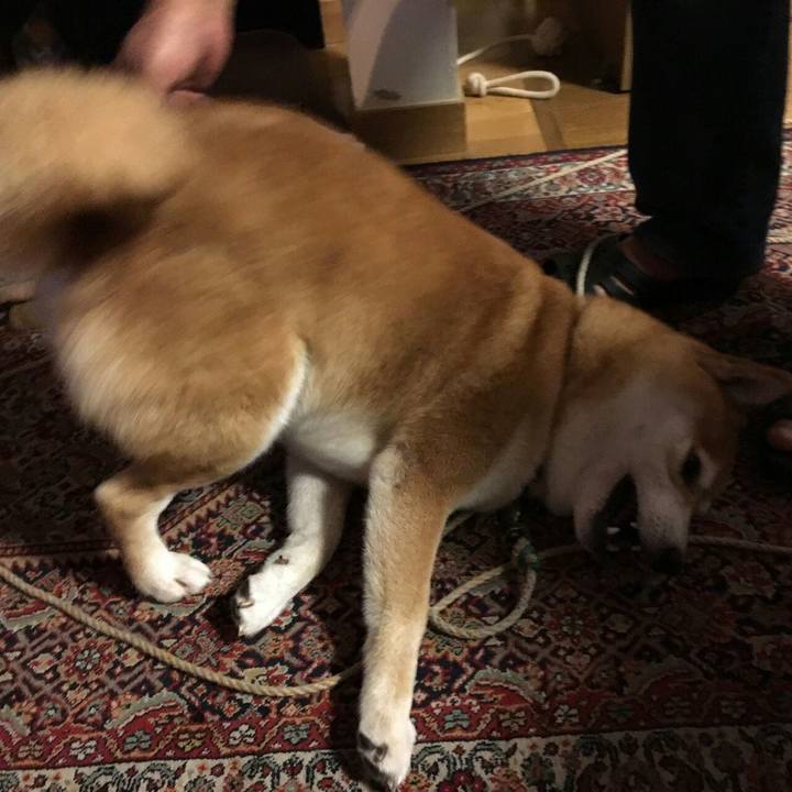 Ea649fe5 28d1 4861 9092 de263e3c9b9c